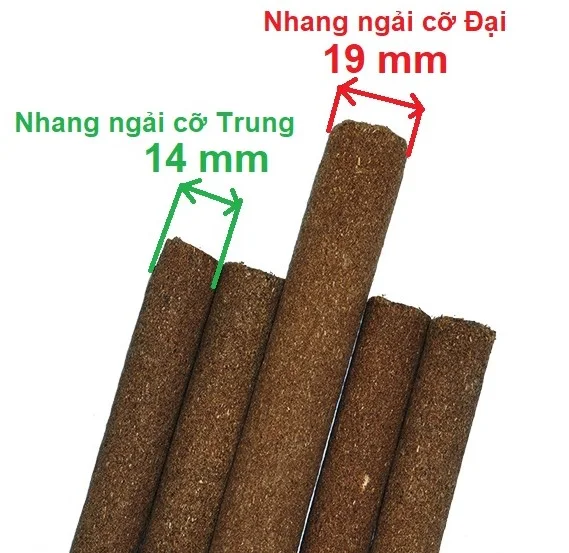 So sánh kích thước điếu nhang ngải cứu cỡ trung đường kính 14mm và cỡ đại 19mm